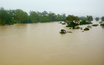 The flooded Burnett River at Gayndah, Australia, 220 miles northwest of Brisbane.