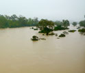 The flooded Burnett River at Gayndah, Australia, 220 miles northwest of Brisbane.