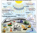 showing the path to black carbon