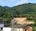 Photo of the fossil collecting site near Lantian village, south China.