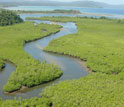 Boca Grande River, Coiba Island, Panama.