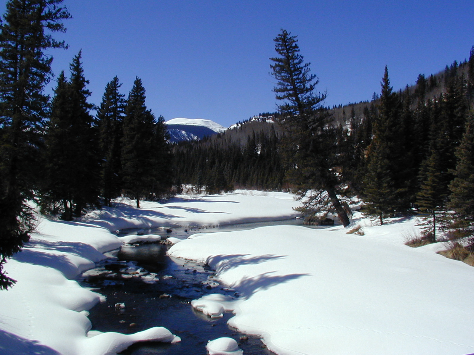 Multimedia Gallery Headwaters Of The Rio Grande River In Colorado Snowmelt Is The River S Main Water Source Nsf National Science Foundation