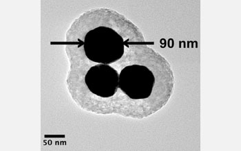 Depictions of nanostructured surfaces for SERS made of gold (Au) L trimer nanoantennas.