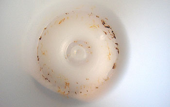 Reddish-colored lead oxides stuck to the bottom of plastic sampling bottle.