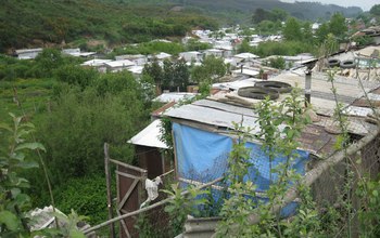 houses in the Los Rios region of south-central Chile.