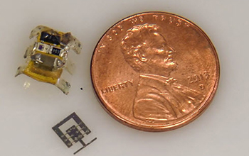 Micro robot and a penny