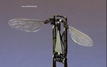 Close up of a robobee