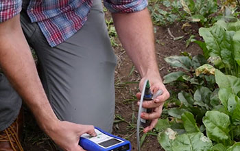 Hands holding suprasensor device near leaves