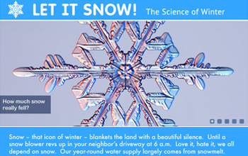 Is each snowflake really unique? The amazing science of snow - Cottage Life