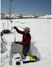 Photo of CSAS Director Chris Landry measuring snow water equivalence in a snowpit.