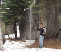Photo of a researcher standing next to a snow depth sensor in Yosemite National Park.