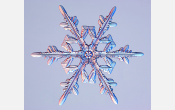 a tree-like snow crystal with branches.