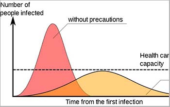 epidemic infographic