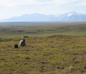 Ecologist collecting soil samples