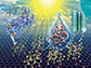 Enzymatic synthesis of supported CdS quantum dot/reduced graphene oxide photocatalysts