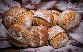 sourdough bread