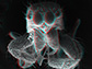 A jumping spider’s fangs in 3D