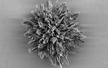 spiky nanoparticle