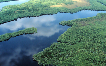 View of the Florida Coastal Everglades LTER site