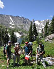 Photo of Chris Funk, Rachel Harrington, Brian Gill and Dave Martin collecting samples in Colorado.