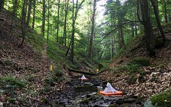 stream with chemical contaminants