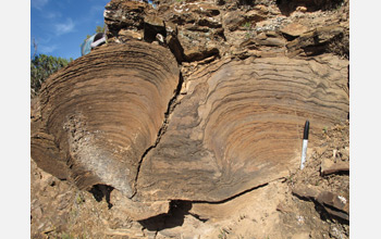 Photo of stromatolite column of bacterial mats with sponge fossils between stromatolites.