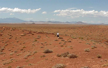 Photo of a person walking in the Great Basin Desert study site.