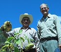 Photo of David Lentz with a Tarahumara sunflower gardener in Mexico.