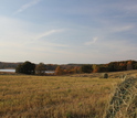 Switchgrass harvest on the field at NSF's Kellogg Biological Station (KBS) LTER site in Michigan.