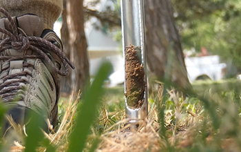 soil sample being taken on ground