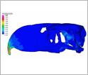 Simulation of stresses that happen when holding onto prey with the beak tip and pulling back.