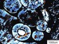 A thin-section image zooms in on the fossil odontomas. Each looks like a miniature tooth.
