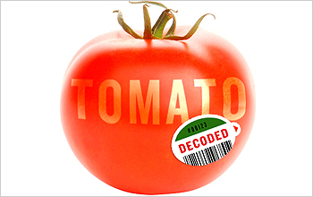 Photo of tomato with label reading decoded