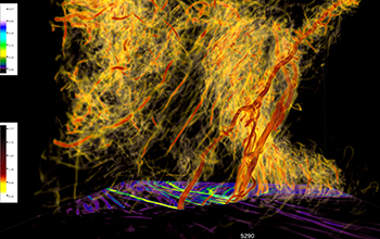 the vorticity field of a multiple vortex EF5 tornado embedded within a supercell thunderstorm