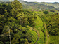 Tropical soil disturbance could be hidden source of carbon dioxide