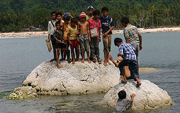 Survivors of the 2004 Sumatra-Andaman earthquake atop a coral microatoll.