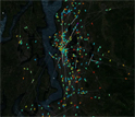 Geo-Tagged Twitter Users within a City