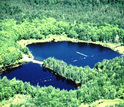 lakes Paul and Peter surrounded by forested areas