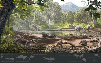 Reconstruction of the Eocene paleoenvironment of the Pontide terrane in Turkey, where the new marsupial fossils were found.