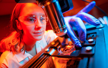 A researcher at UC San Diego, studying human brain organoids, centers a petri dish under a microscope