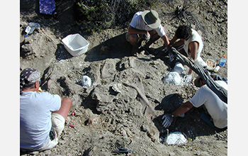 Photo of researchers digging for fossils in Grand Staircase-Escalante National Monument, Utah.