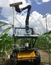 A mobile sensor tower and robot vehicle take 3-D images of corn plants.