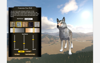 Computer screen shot of a wolf avatar.