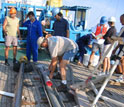 a giant "gravity core" being removed from a core barrel.