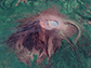 Photos may improve understanding of volcanic processes