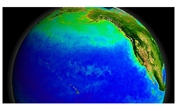 The Pacific Ocean's currents support a diverse ecosystem, seen here from space, with green indicating blooms of photosynthesizing plankton