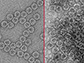 Transmission electron micrographs of a nonenveloped virus, MS2 bacteriophage, before electrocoagulation (L) and after (R).