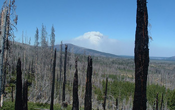 The average size of a blaze in Central Oregon is expected to increase.