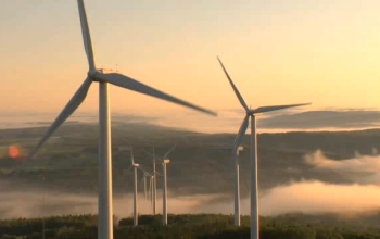 Several wind turbines