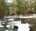 Winter at NSF's Harvard Forest LTER site, where forest ecosystem studies are taking place.